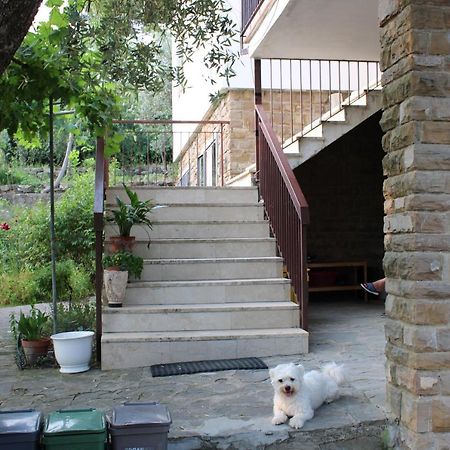 Bella Vista Bolognese Villa Trespiano Dış mekan fotoğraf